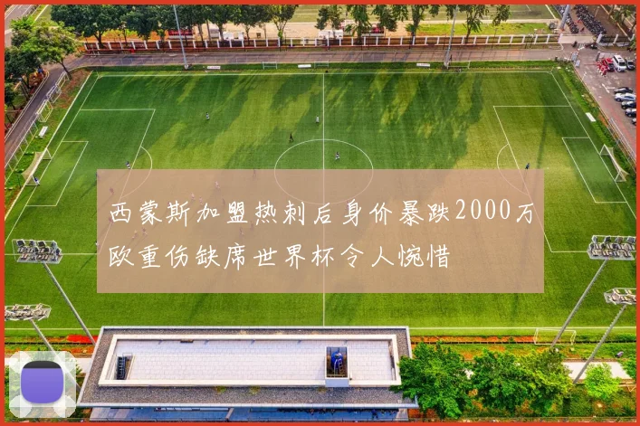 西蒙斯加盟热刺后身价暴跌2000万欧重伤缺席世界杯令人惋惜